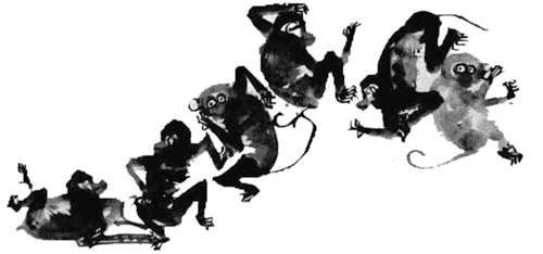 Hầu quyền ảnh 1